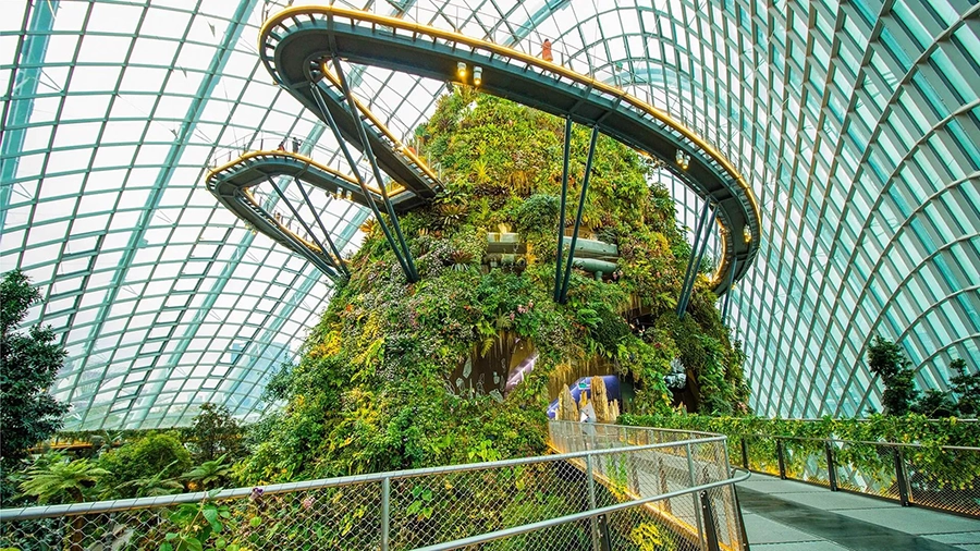 Biophilic Architecture